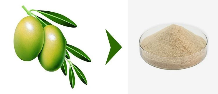 Hydroxytyrosol Powder 1