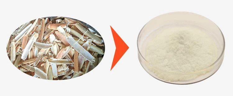 Chitosan Supplier 1