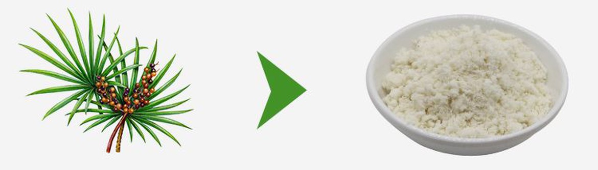 info-1-1 Saw palmetto extract fatty acids