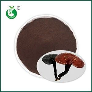 Anti-aging in action: About the efficacy of Reishi Spore Powder