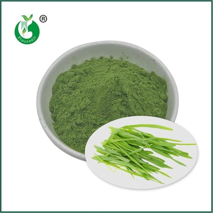 Barley Grass Juice Powder