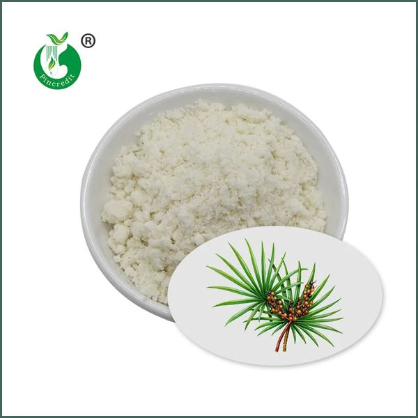 Saw Palmetto Extract Powder