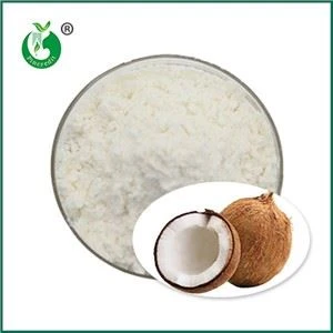 Organic Coconut Milk Powder