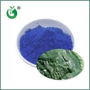 Blue Spirulina Powder: The Premium Natural Blue Pigment for B2B Food, Beverag...