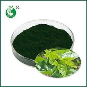 What Is Sodium Copper Chlorophyllin? What Is It Used For?