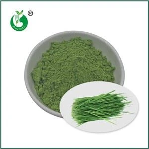 Wheat Grass Powder