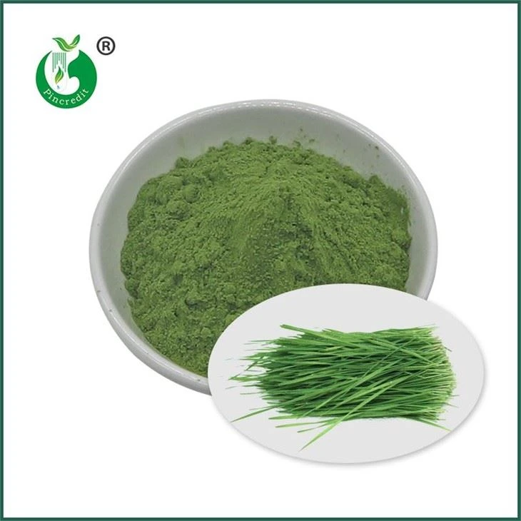 Wheat Grass Juice Powder