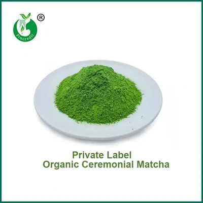 What Is the Difference Between Matcha Powder and Green Tea Powder?