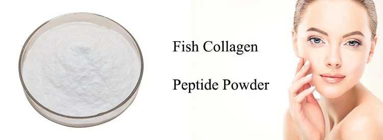 Fish Collagen Peptide Powder 3 Fish Collagen Peptide Powder 3