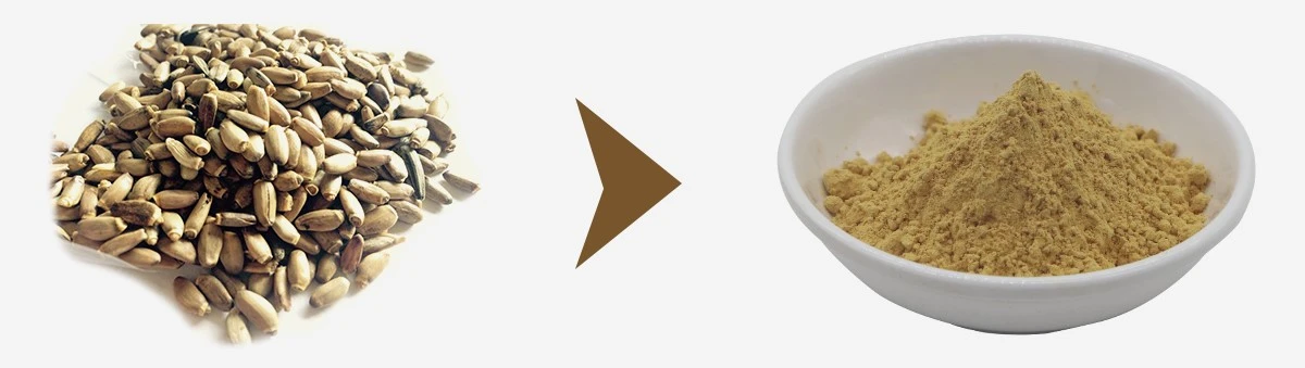 11200px