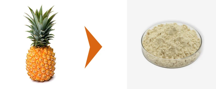 Bromelain Enzyme 1 Bromelain Enzyme 1