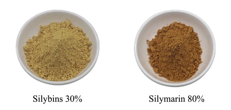 Silymarin Silybins