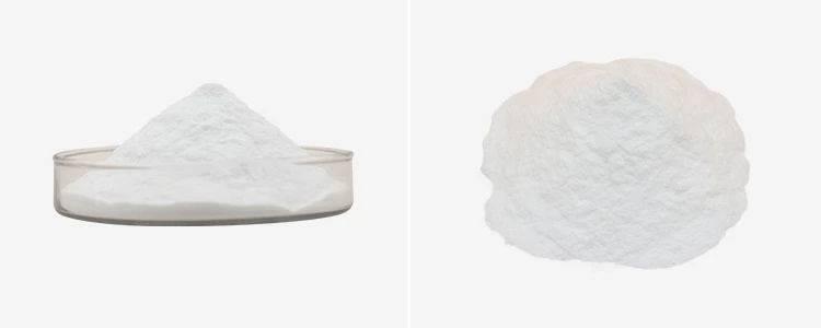 papain enzyme powder 1