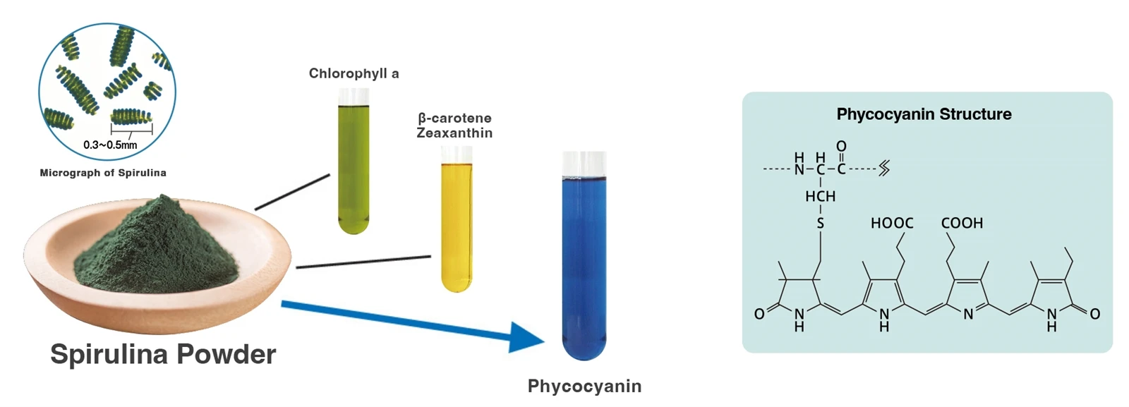 phycocyanin phycocyanin