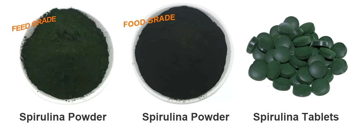 Organic Spirulina Powder