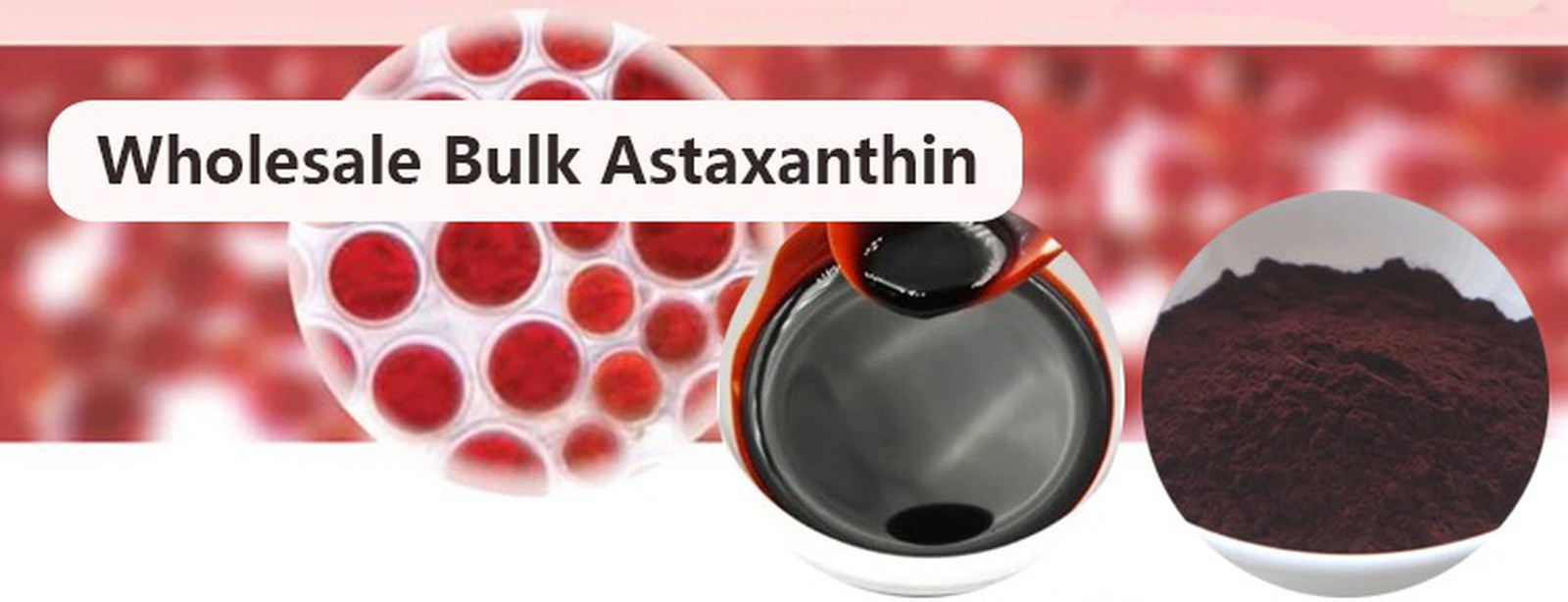 Astaxanthin Powder2 Astaxanthin Powder2