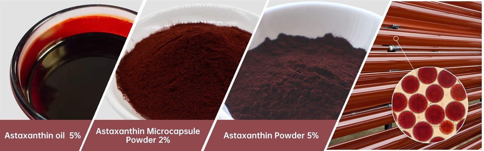 Astaxanthin Powder1 Astaxanthin Powder1