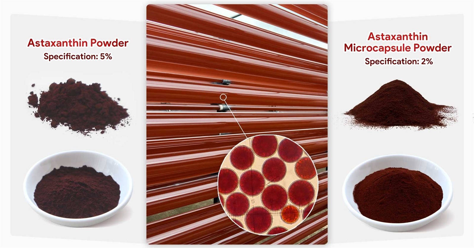 Astaxanthin Powder Astaxanthin Powder