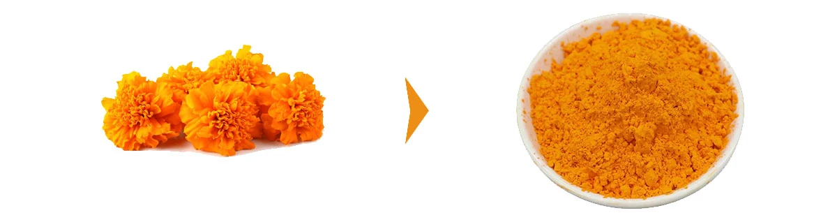 Lutein Powder