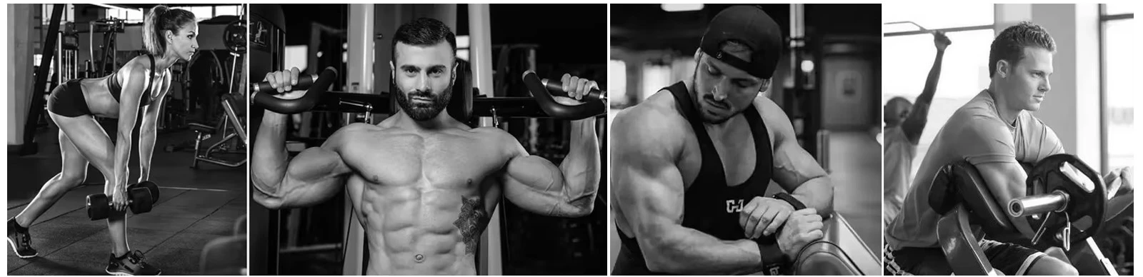 Creatine Monohydrate Powder