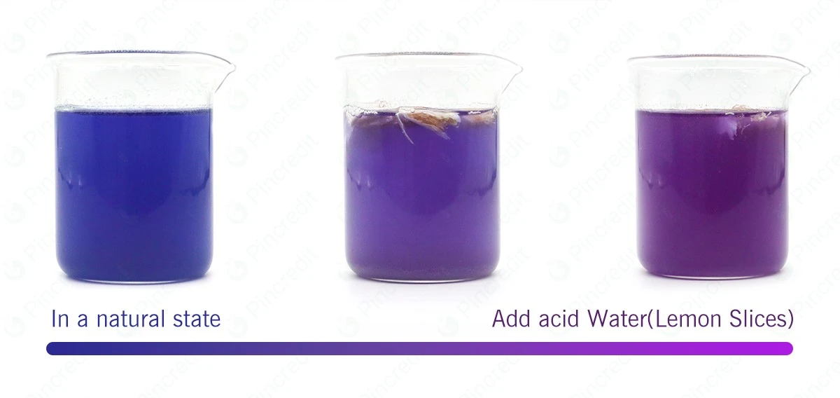 Blue matcha Water Soluble 1200px