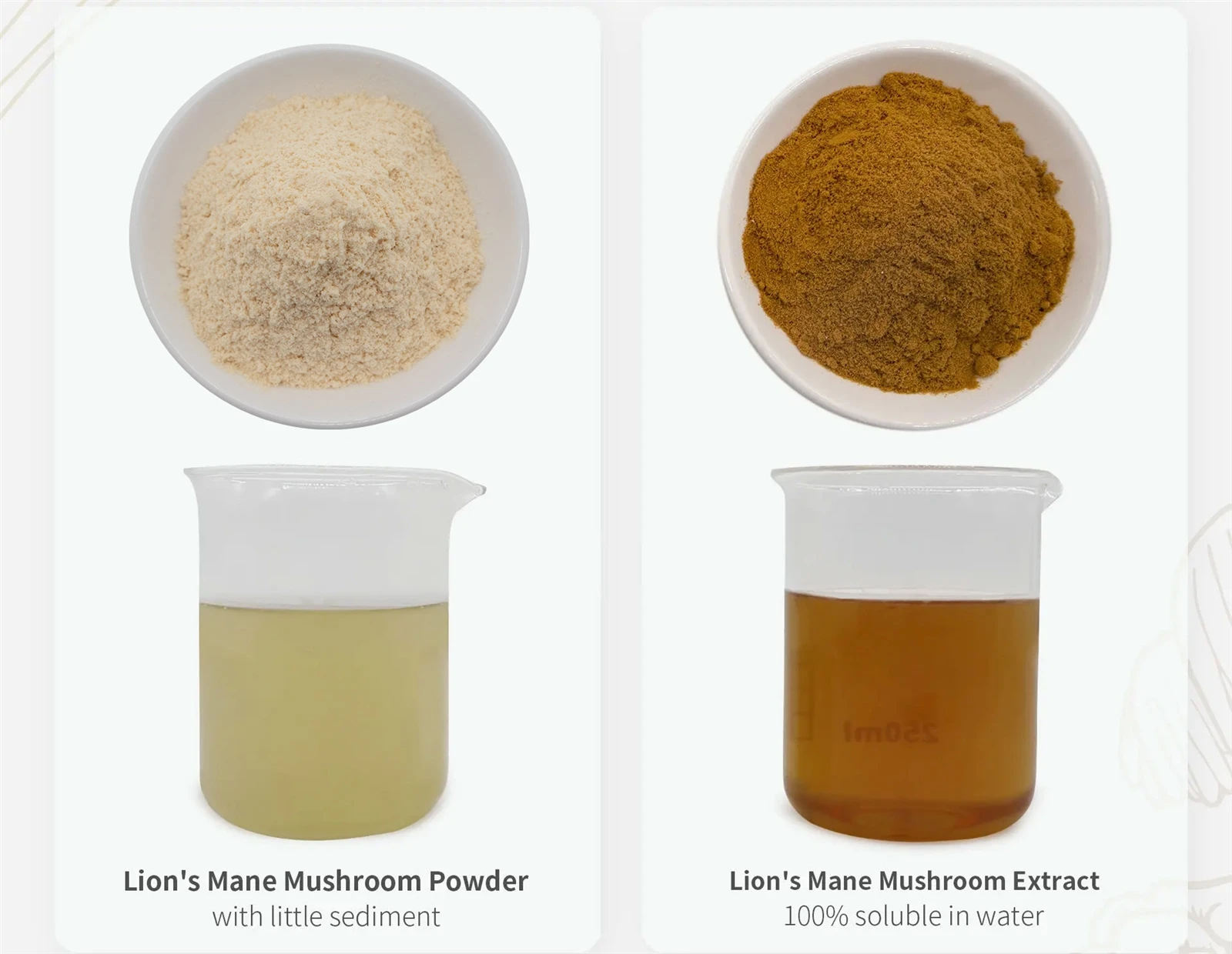 Organic Lions Mane Powder
