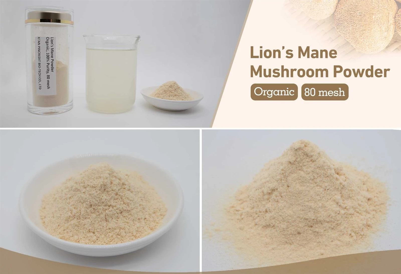 Lions Mane Mushroom Powder