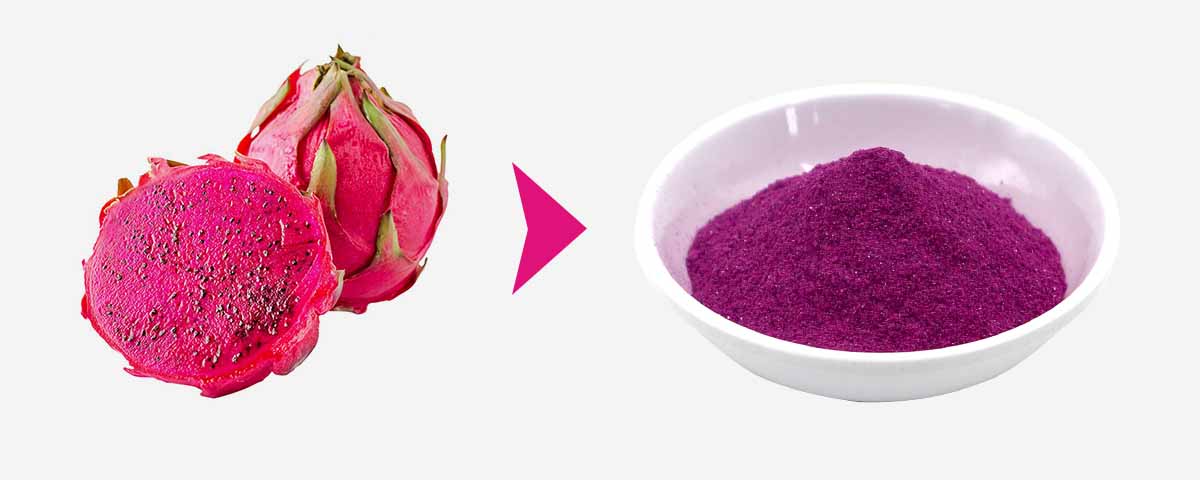 Dragon Fruit Freeze Dried Powder Dragon Fruit Freeze Dried Powder