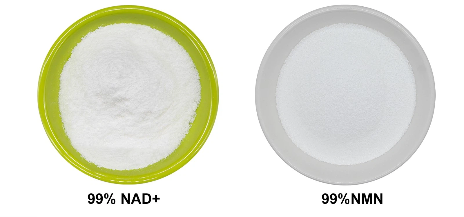 NAD NMN NAD NMN