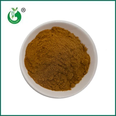 Pincredit Hot Sale Organic Mushroom Extract Powder