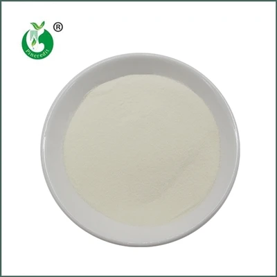 What Is Hydrolyzed Collagen?