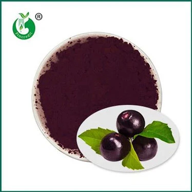 Is Pure Acai Good for You?