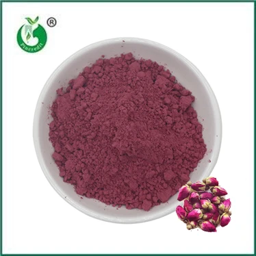 The Benefits and Uses of Rose Petal Powder