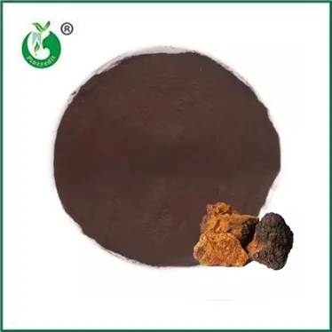 The Benefits and Uses of Chaga Extract Powder