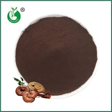 Why Reishi Spore Powder Is Taking the Health World by Storm？