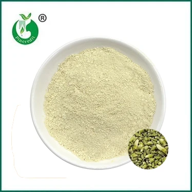 Are Luteolin and Quercetin the Same Thing?