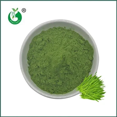 Barley Grass Juice Powder: A Nutritious and Versatile Superfood