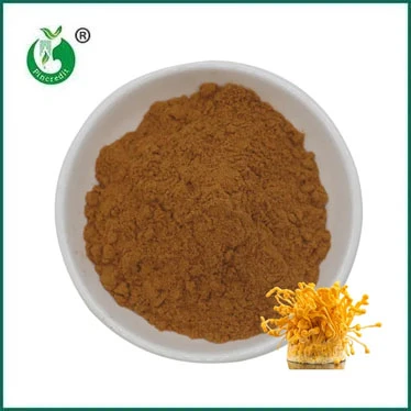 The Miraculous World of Cordyceps Militaris Extract
