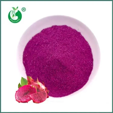 Freeze-Dried Dragon Fruit Powder: Convenience Meets Nutrition!