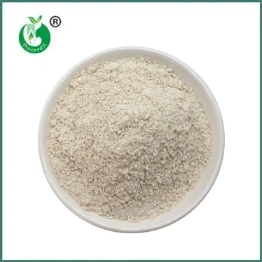 Trans-Resveratrol Powder: Nature's Potent Antioxidant
