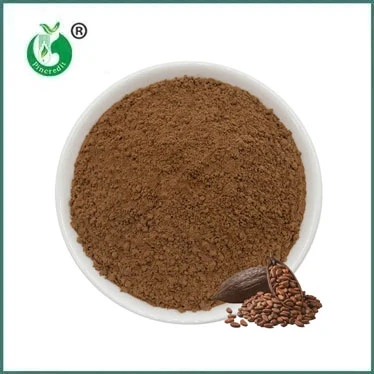 The Enchanting Duality of Cocoa Powder: Natural vs. Dutch-Processed