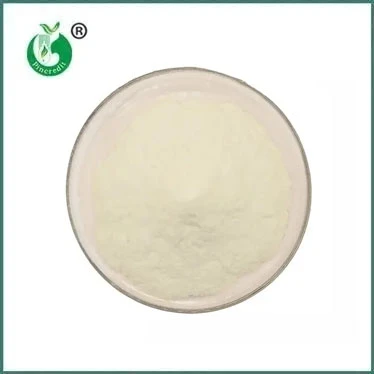 Discover the Versatile Benefits and Applications of Chitosan