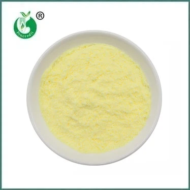 Alpha Lipoic Acid: A Versatile Antioxidant for Health and Wellness