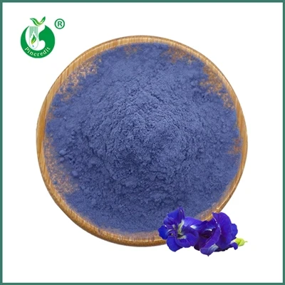 Butterfly Pea Flower Extract Powder: A Versatile Ingredient for B2B Buyers