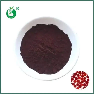 The Versatile Benefits of Astaxanthin Powder
