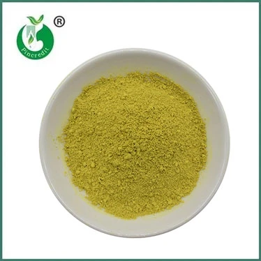 Wholesale Sophora Japonica Extract 98% Quercetin Dihydrate Powder