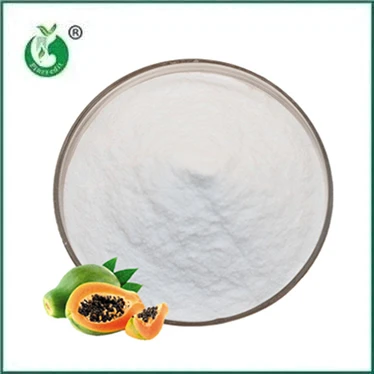 Papain or Bromelain: How to Choose the Right Enzyme for Your Needs?