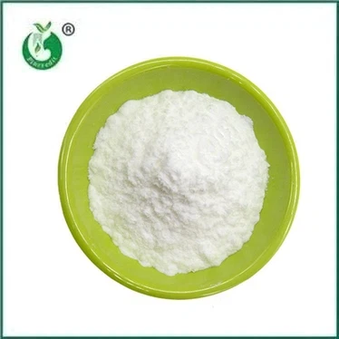 Comparative Analysis: Creatine vs. Creatine Monohydrate 200 Mesh