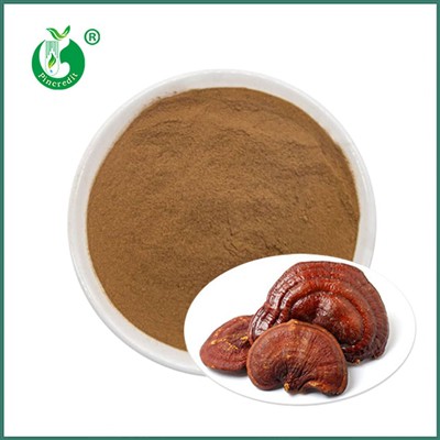 Reishi Extract Powder: A Natural Choice for Health and Beauty