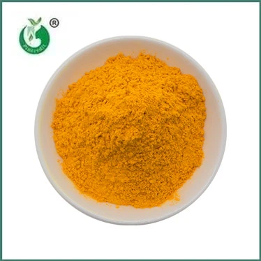 Turmeric Extract Curcumin Powder: 2025 Market Analysis, Natural Sources, Appl...